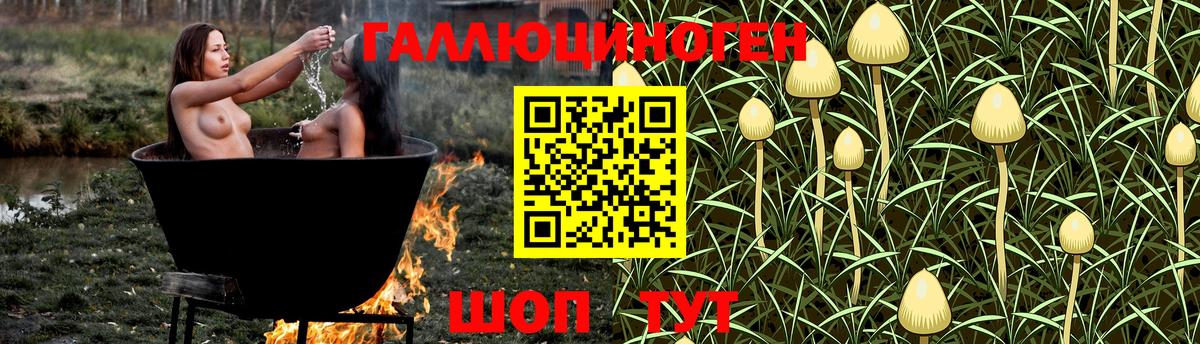 Саров  Галлюциногенные грибы мицелий  Вход с VPN 